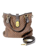 Louis Vuitton Idylle Elegie Shoulder Bag