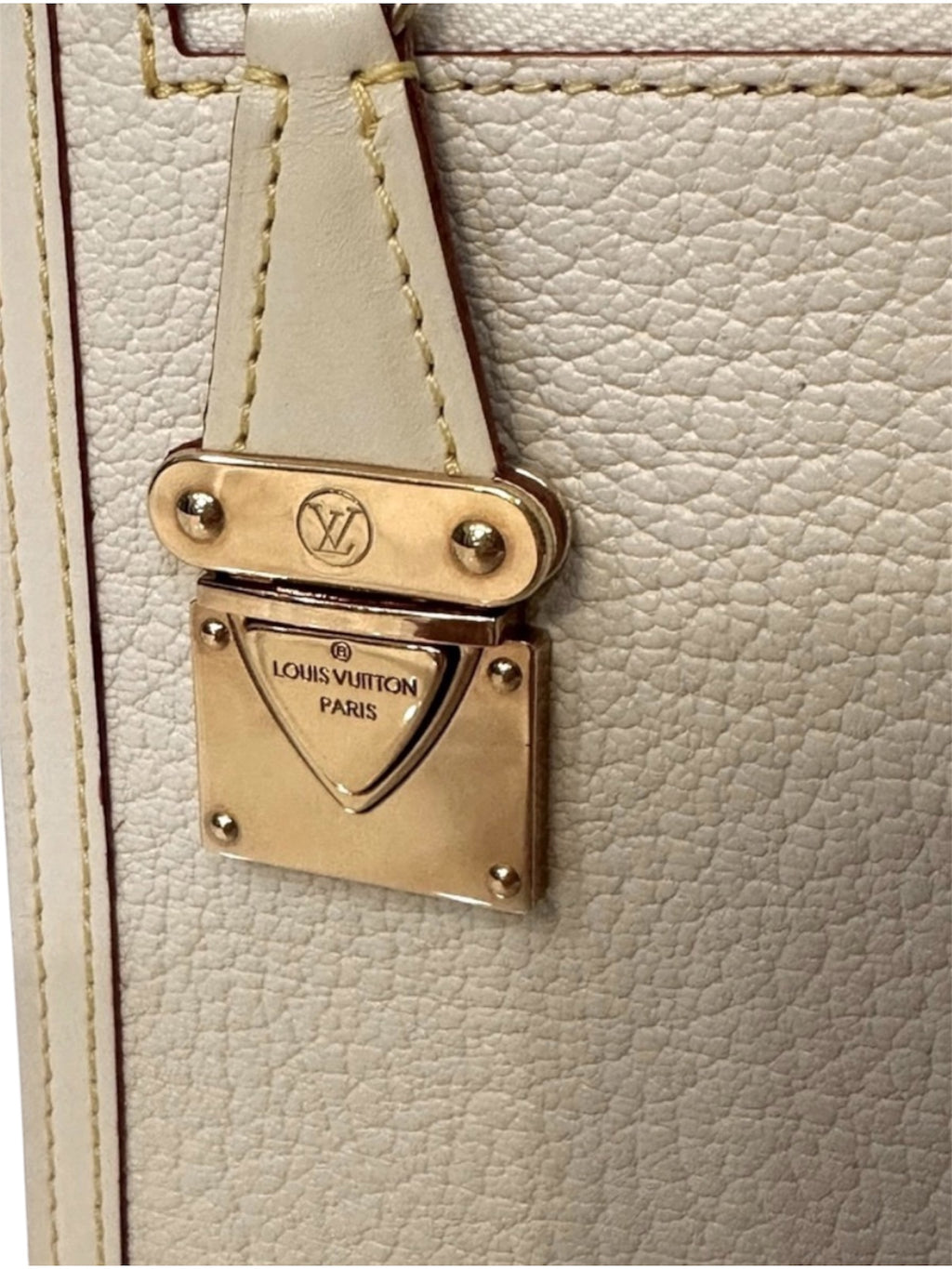 Louis Vuitton Suhali Accessory Pouch