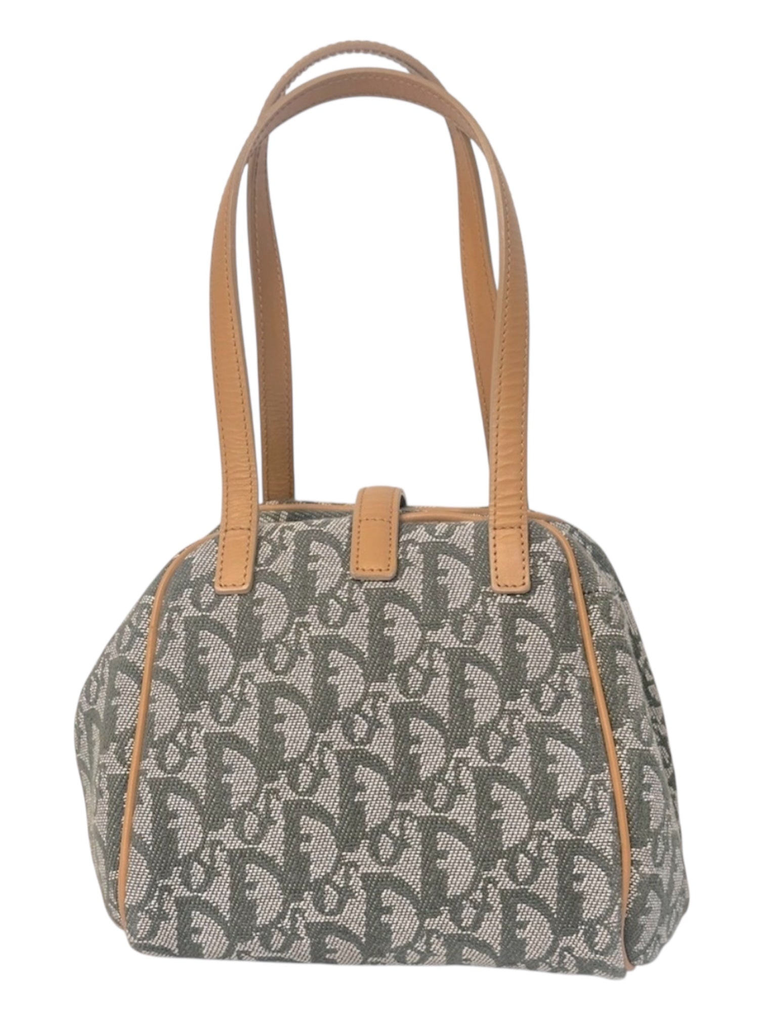 Christian Dior Trotter Dumpling Handbag