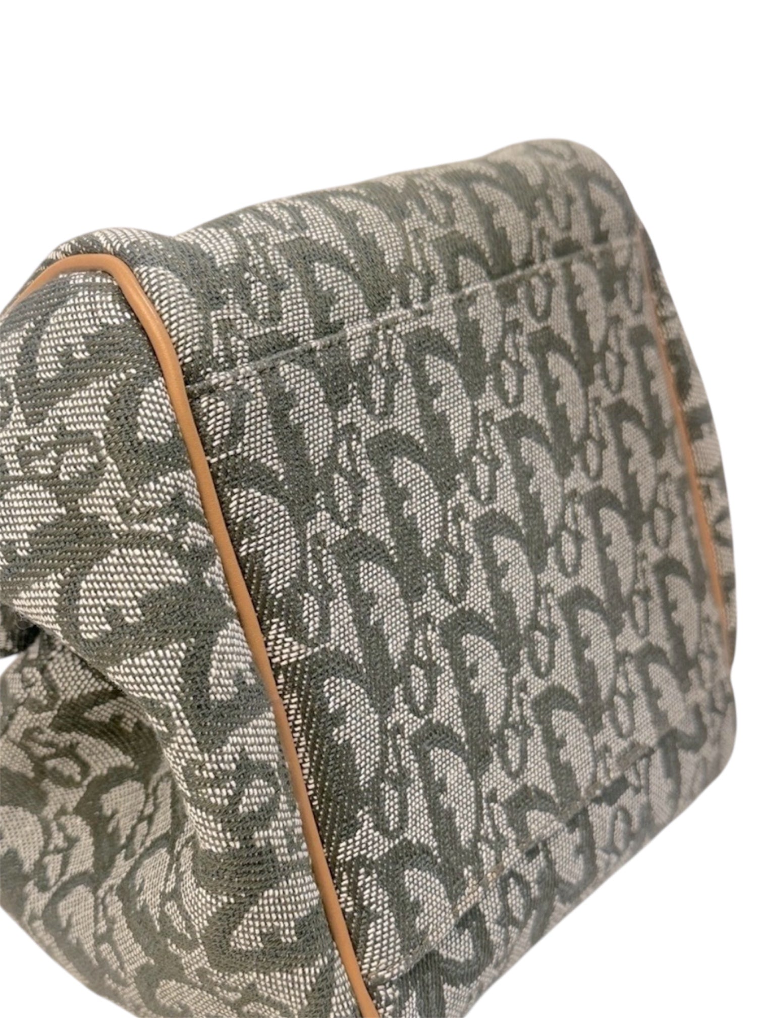 Christian Dior Trotter Dumpling Handbag