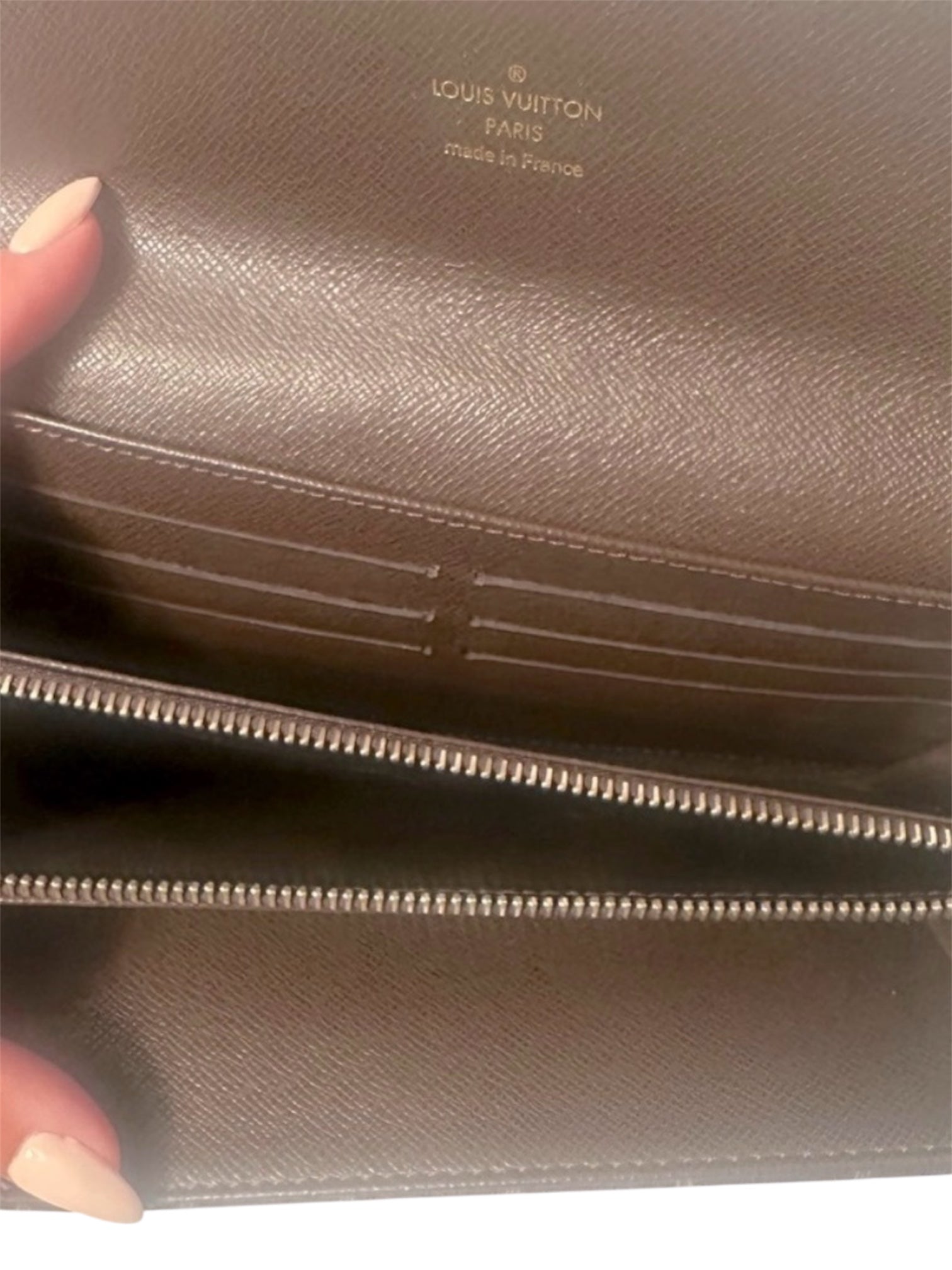 Louis Vuitton Monogram Mini Lin Sarah Wallet