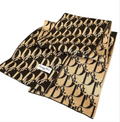 Christian Dior Trotter Wool Scarf