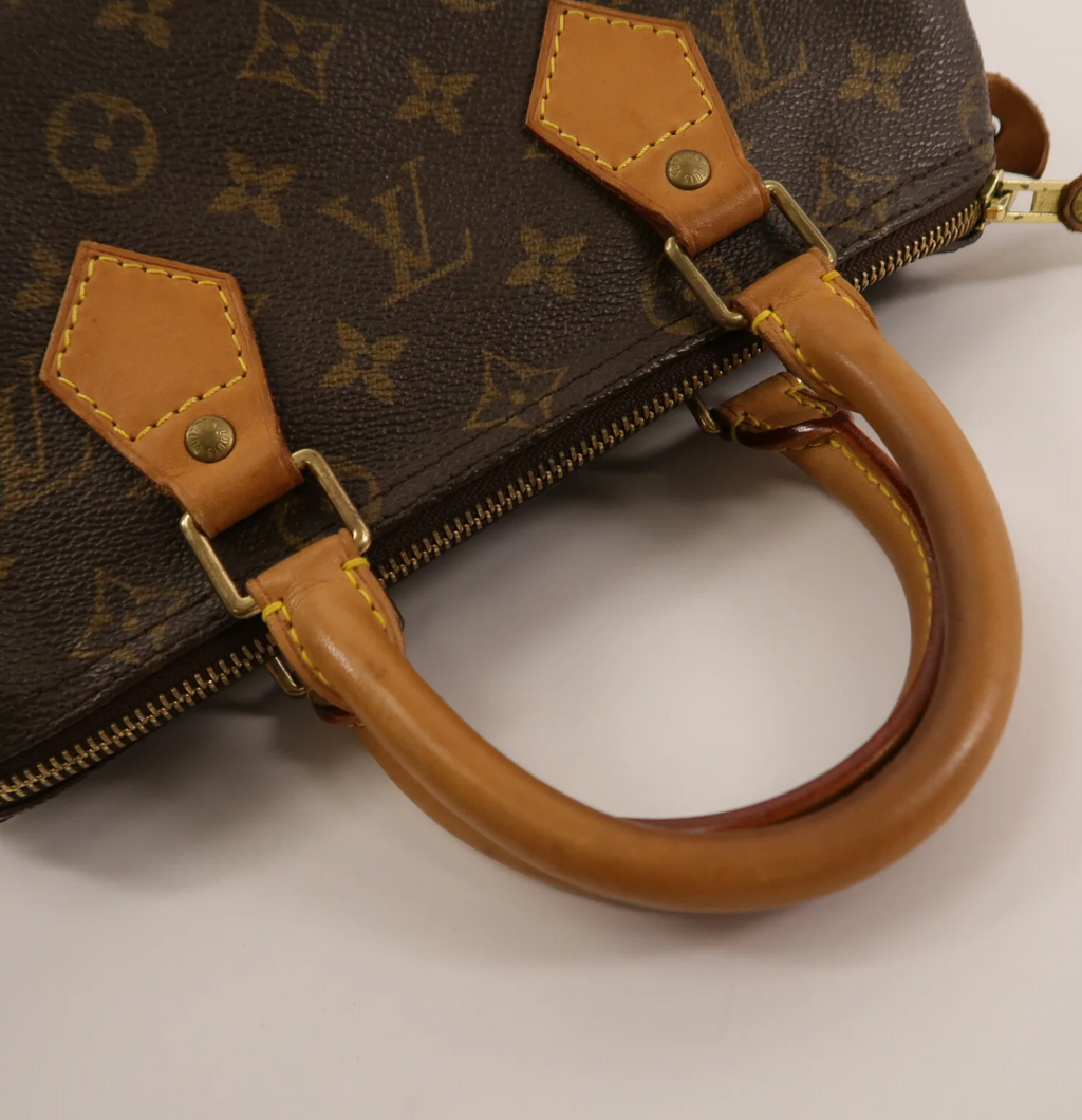 Louis Vuitton Monogram Speedy 25