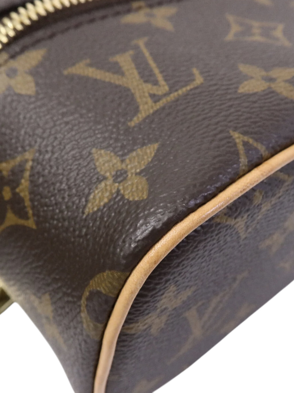 Louis Vuitton Monogram Nice Nano Toiletry Case