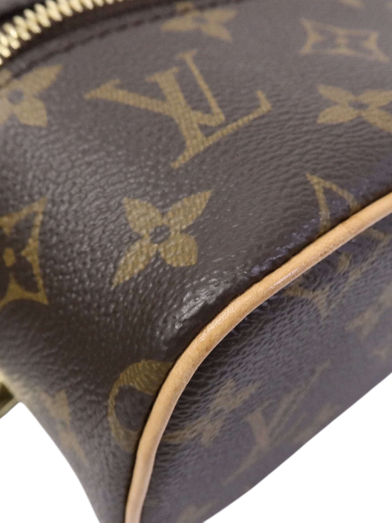 Louis Vuitton Monogram Nice Nano Toiletry Case
