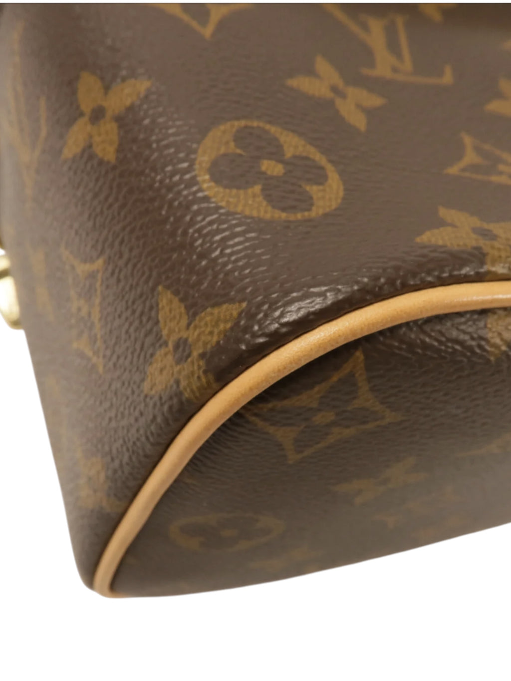 Louis Vuitton Monogram Nice Mini Vanity