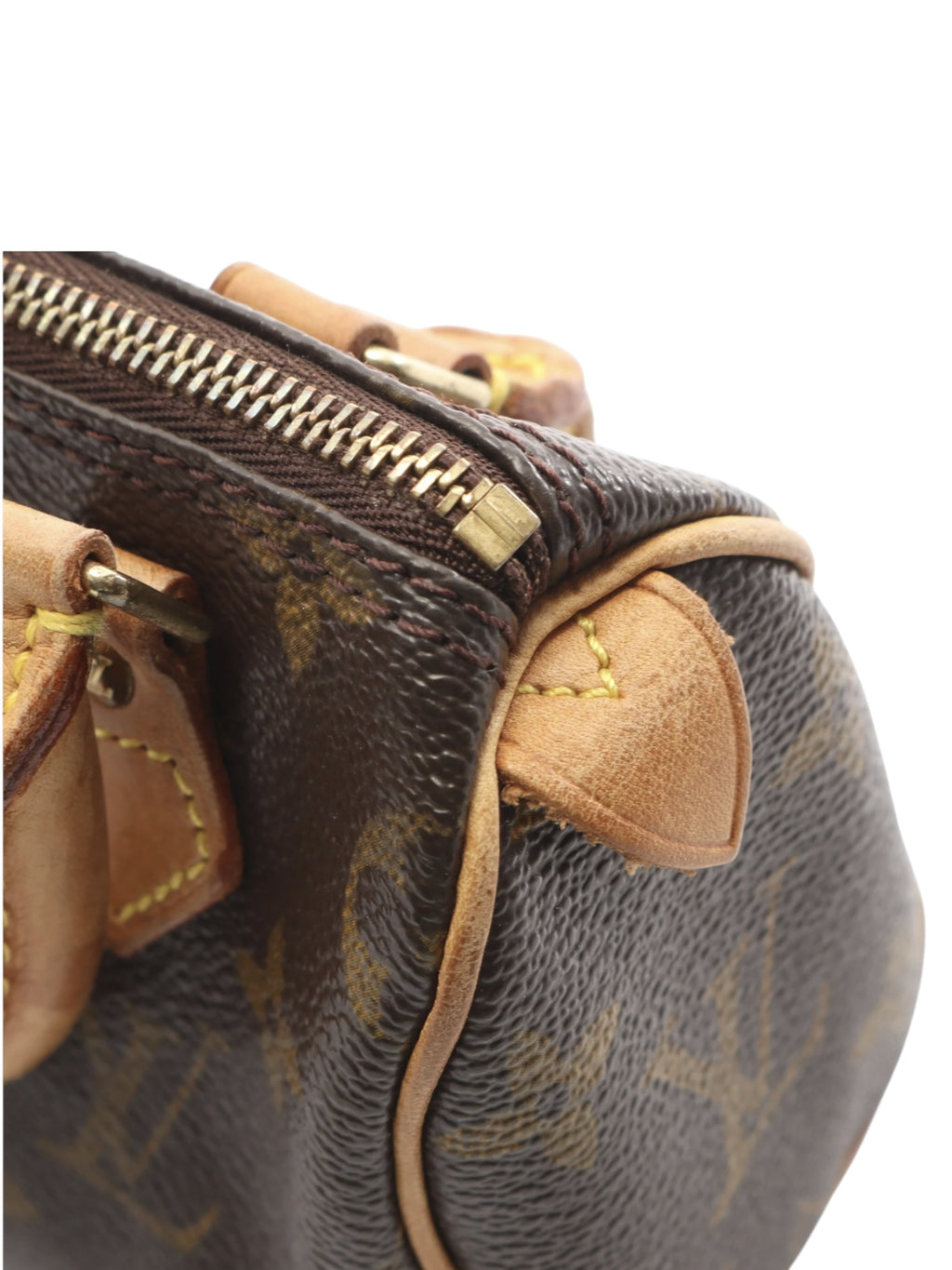 Louis Vuitton Monogram Mini HL Speedy