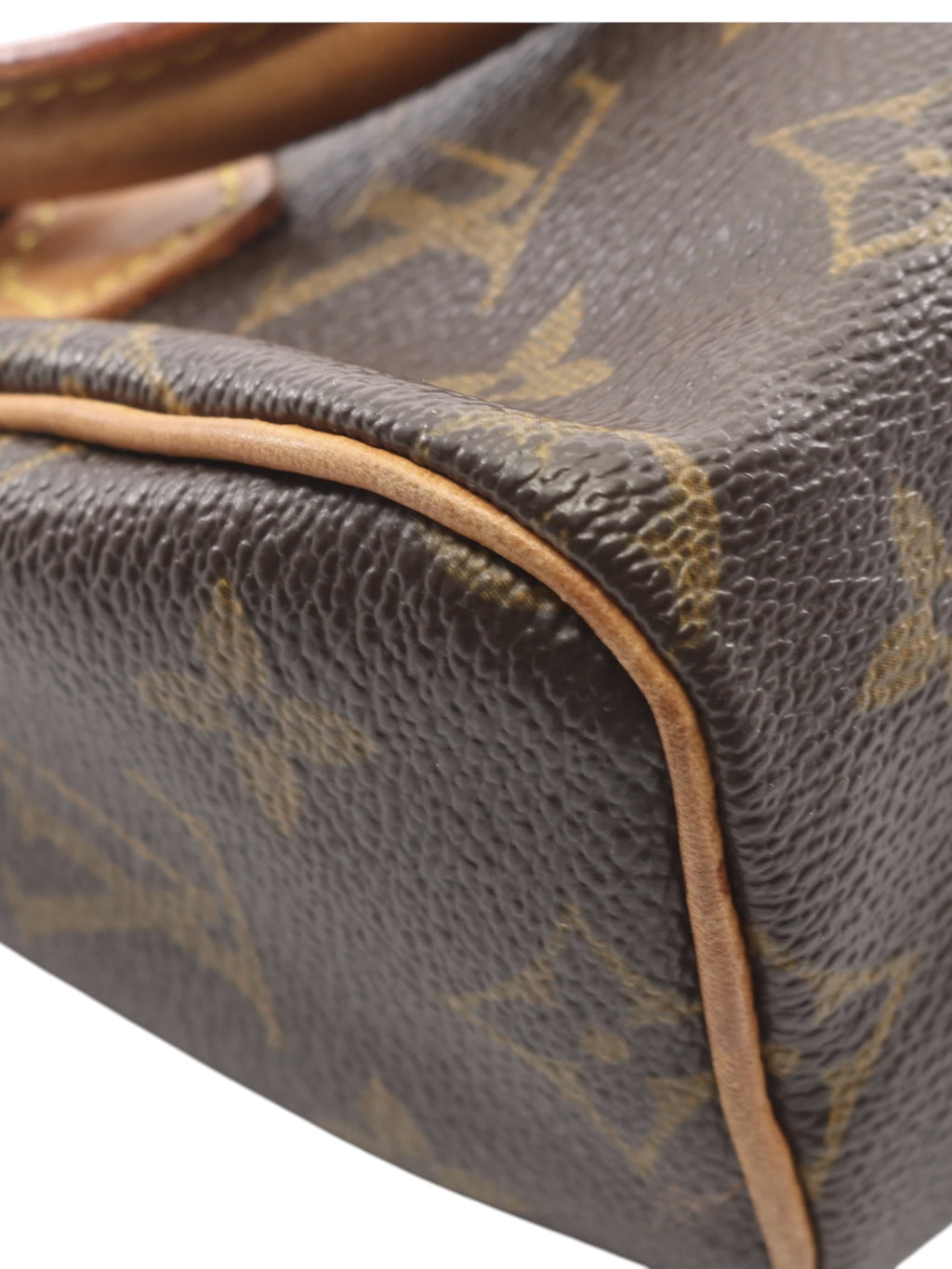 Louis Vuitton Monogram Mini HL Speedy