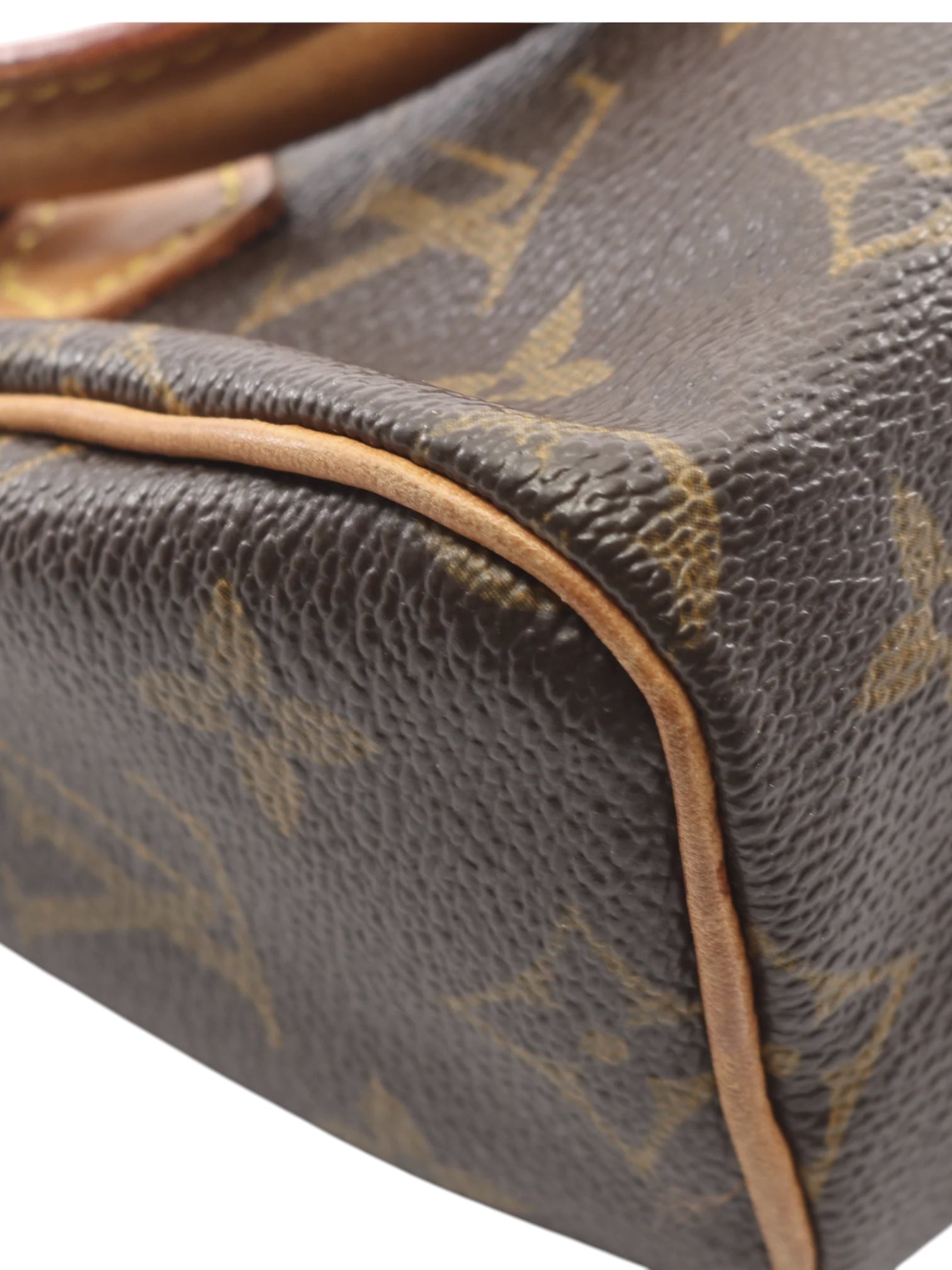 Louis Vuitton Monogram Mini HL Speedy